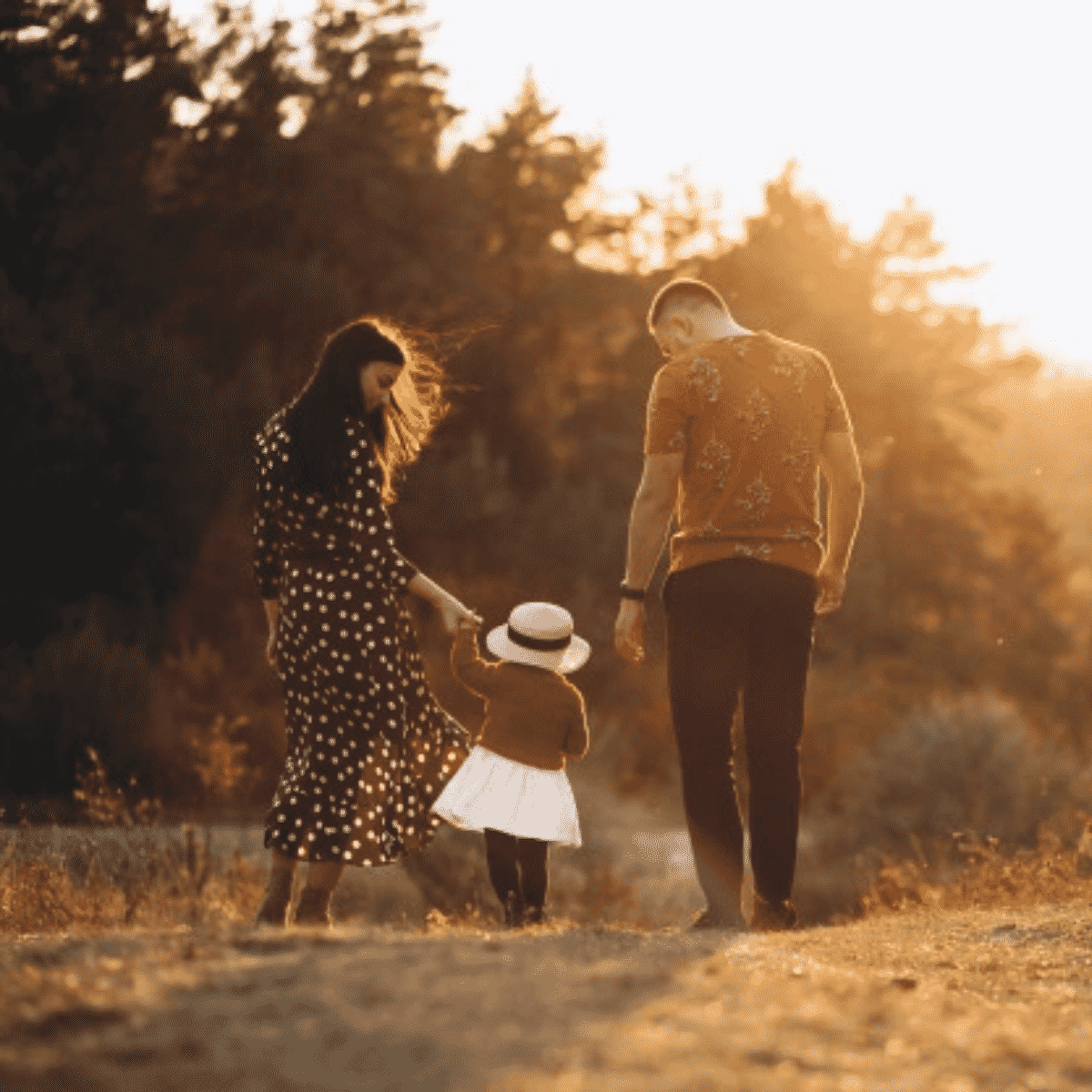 cultura de previsión