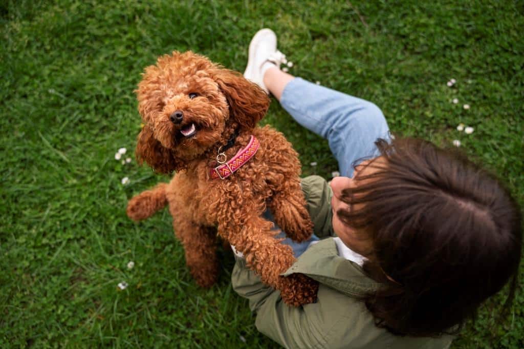 El impacto de las mascotas en el desarrollo de nuestros hijos